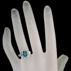 Vivit �u���[�g���}���� 1.6ct �_�C�������h 1.3ct �v���`�i �����O(�w��)